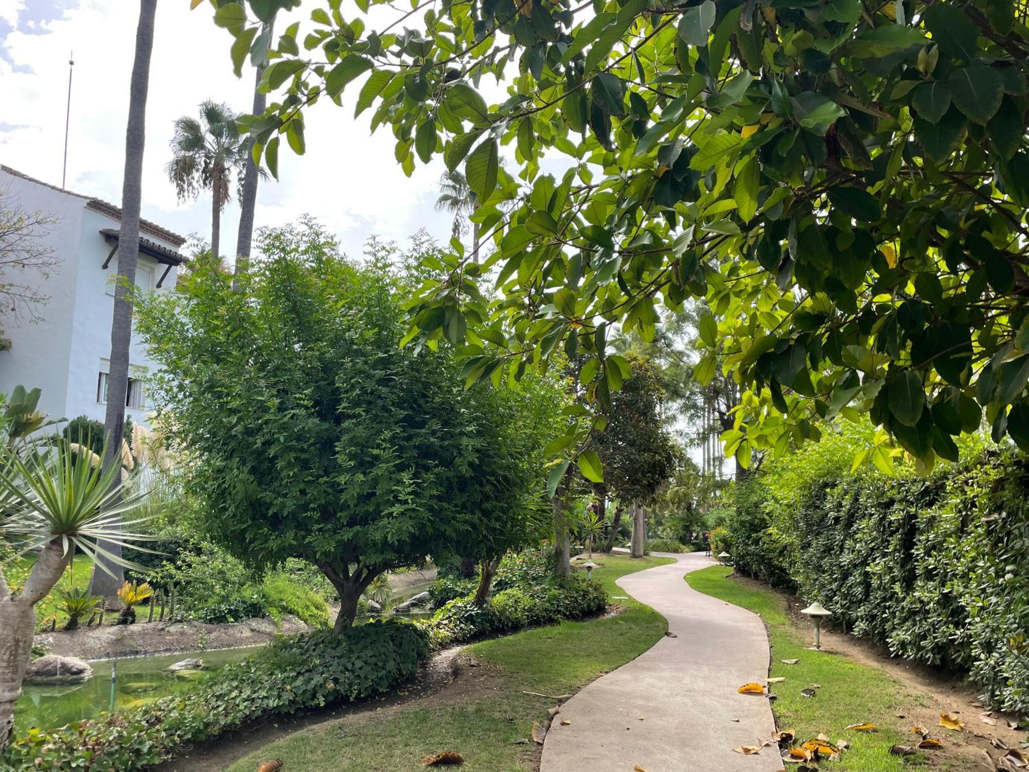 Apartment Costalita, Direct Beach Access, Ground Floor, Salt Water Pool Estepona Exteriör bild